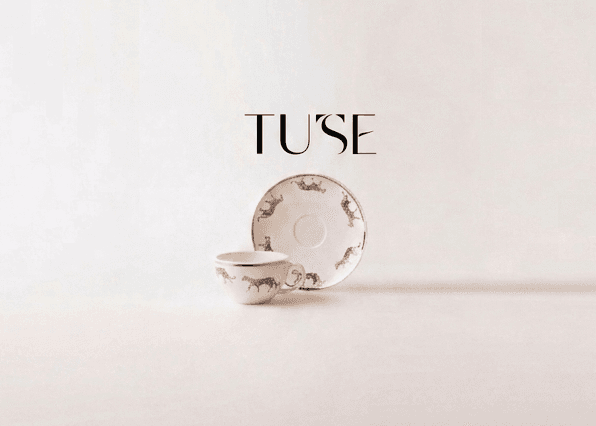 TUSE